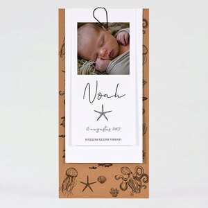 Geboortekaartjes