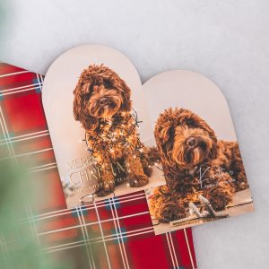 Kerst Family 2026 17